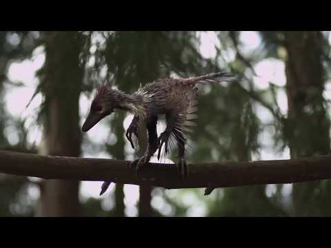 Germanodactylus vs Archaeopteryx - Германодактиль против Археоптерикса [RUS]