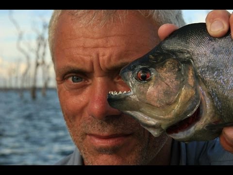 River Monsters| Речные монстры||Jeremy Wade (сезон 1 серия 1 &quot;пиранья&quot; )