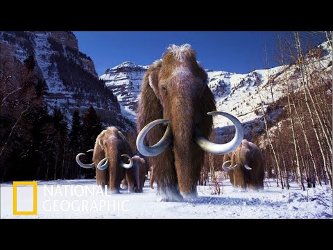 Мамонты National Geographic Документальный Фильм 2021