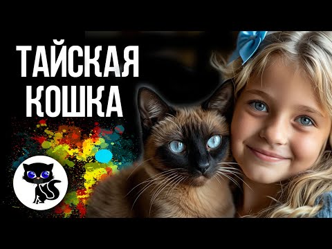 ✔ Тайская кошка. Чем отличается тайская порода кошек от сиамской?