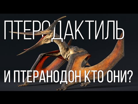 Птеродактиль: Летающая доисторическая рептилия | Интересные факты про динозавров