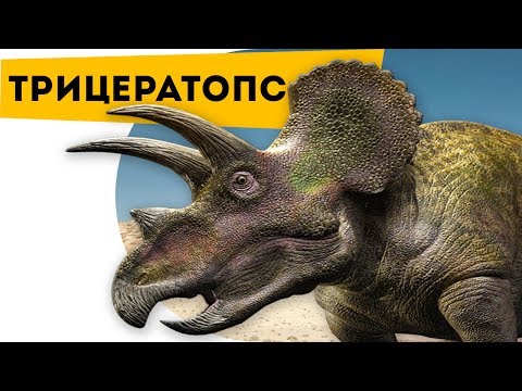Интересно про динозавров | Трицератопс | Познавательный канал | Динозавры для детей