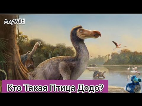 Кто такая Птица Додо? Интересные и Малоизвестные факты про Дронтов.AnyWild!